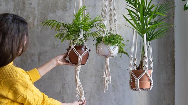 Billede af kvinde med planter i flotte macramé ophæng.